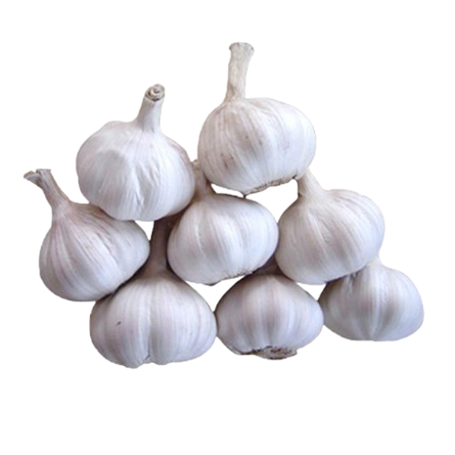 রসুন